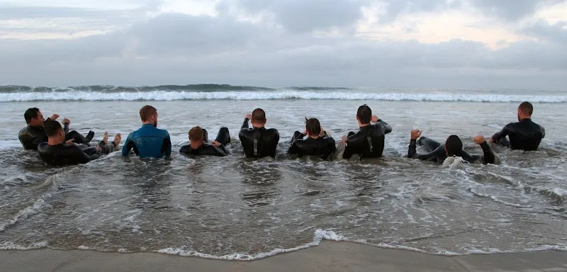 Tree House Recovery - Photo 4