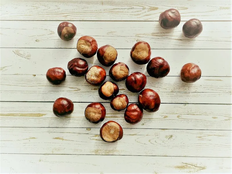 Buckeye Recovery Network - Photo 4