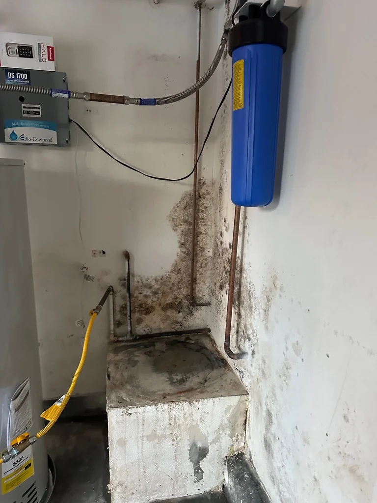 Recovery restoration pros - Photo 2