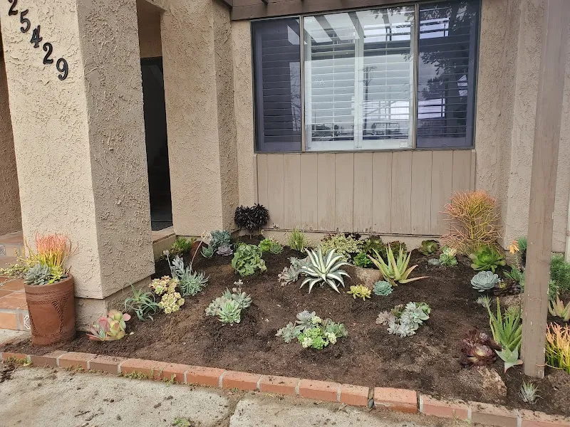 The Lighthouse-Lomita Sober Living - Photo 5